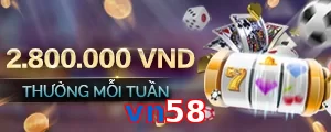 vn58
